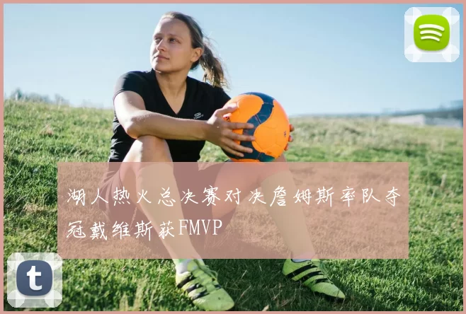 湖人热火总决赛对决詹姆斯率队夺冠戴维斯获FMVP