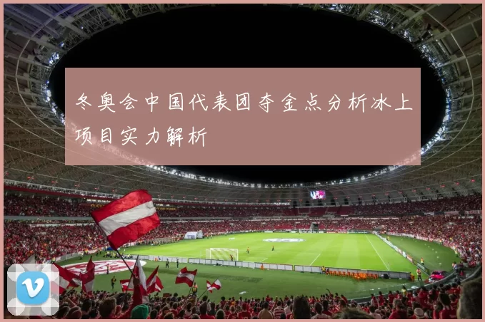 冬奥会中国代表团夺金点分析冰上项目实力解析